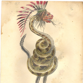 Illustration for article titled In the 1870s, Charles Darwin was the theme of a downright deranged Mardi Gras parade